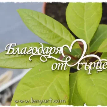 Благодаря от сърце